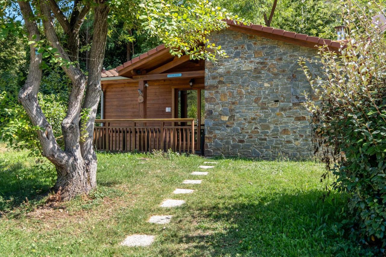 Le Hameau Du Comte De Foix - 11 Chalets En Ariege Mercus-Garrabet Ngoại thất bức ảnh